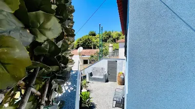 a view of a patio from a house with a cactus at Casa d Avó 1937, By OP in Senhora do Rosário