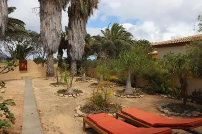 a yard with two benches and palm trees at Pé n' Areia Beach House Porto Santo in Porto Santo