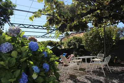 a garden with chairs and a table and flowers at Casa da Ponta in Ponta do Pargo