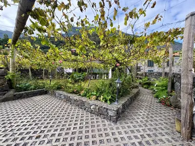 a garden with a stone pathway and plants at Marialina, By OP in São Vicente