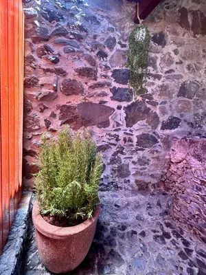 a stone wall with two potted plants on it at Palheiro Jardim by Olá Madeira in Paul do Mar