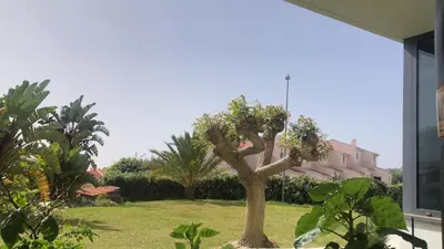 a tree in a yard next to a building at Magic Paradisus guest in Caniço