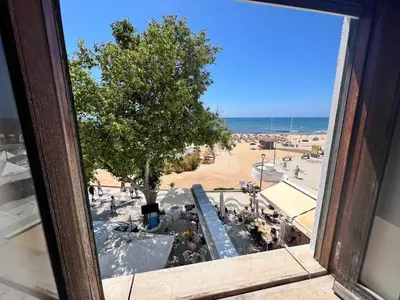 a window with a view of a beach and a tree at STUNNING BEACH PENTHOUSE Best Views In Luz in Luz