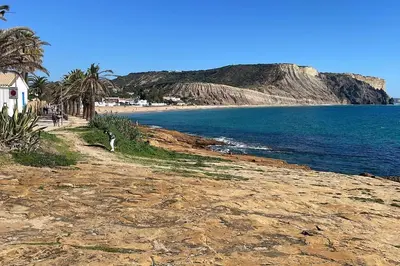 a sandy beach with palm trees and the ocean at Casa Dolce Farniente in Luz