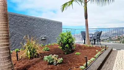 a garden with two chairs and a palm tree at Casa Clementine by LovelyStay in Funchal