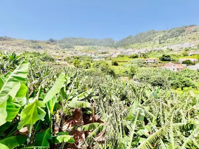 a field of banana plants with a city in the background at Casa das Amoreiras by YMR in Arco da Calheta