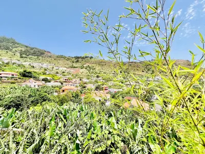 a view of a town from a field of plants at Casa das Amoreiras by YMR in Arco da Calheta