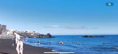 a group of people on a beach with the ocean at Forum Ocean View Apartment 2 in Funchal