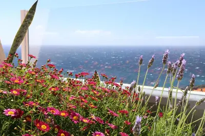 a field of flowers with the ocean in the background at Penthouse Ventur in Caniço