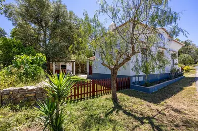 a house with a fence and a tree in the yard at Casa dos Cantoneiros in Aljezur