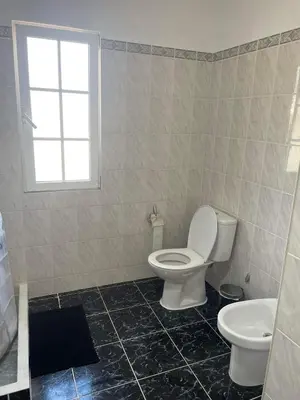a bathroom with a toilet and a sink at Moradia Vitória in Porto Santo