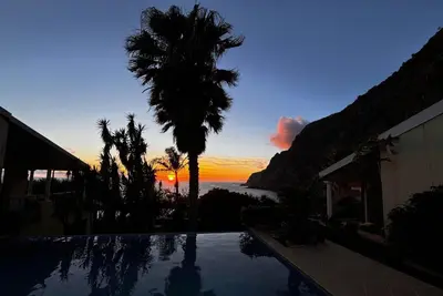 a view of a palm tree and the ocean at sunset at Bela Vigia in Jardim do Mar