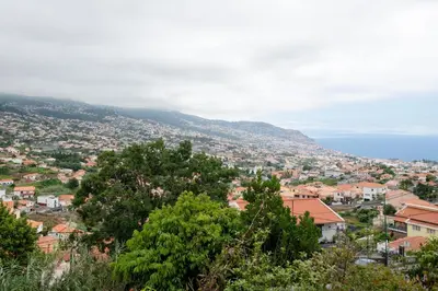 a view of a city with houses and trees at Casa da Silva home in Funchal in Funchal