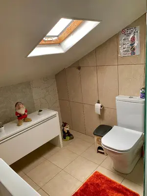 a bathroom with a toilet and a skylight at Casinha Gomes in Calheta