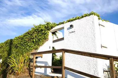 a white building with ivy on the side at Aldeia in Chã de João Tomé