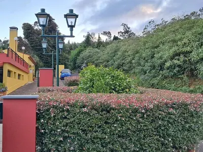 a street with flowers and street lights and a hedge at Classic Car House in Santa Cruz