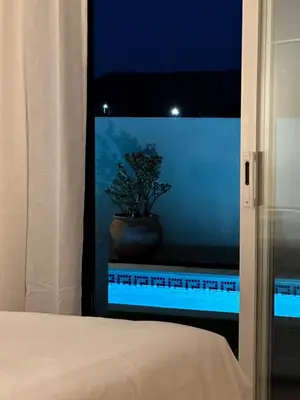 a plant in a vase sitting on a window sill at Vila Agora Luz in Luz