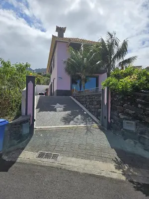 a pink house with a palm tree in front of it at Casa da Palmeira in Machico