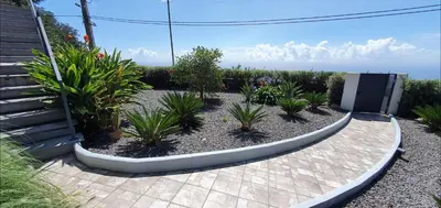 a garden with palm trees and plants on a sidewalk at Casa Avós & Netas, Fantastic View, Near the Nature! in Arco da Calheta