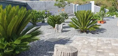 a garden with palm trees and other plants at Casa Avós & Netas, Fantastic View, Near the Nature! in Arco da Calheta