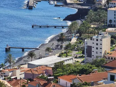 a view of a beach with palm trees and buildings at The View in Santa Cruz