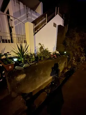 a planter with plants in front of a building at night at Revived in Porto da Cruz