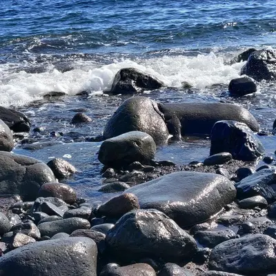 a group of rocks on the shore of the ocean at Casa da Madalena do Mar in Madalena do Mar