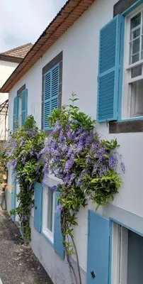 a house with blue shutters and purple flowers on it at Casa da Madalena do Mar in Madalena do Mar