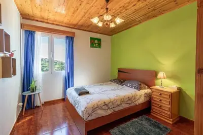 a bedroom with green walls and a bed with a wooden ceiling at Peaceful retreat near Levadas in Arco da Calheta