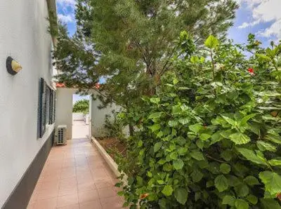 a hallway of a house with a large green bush at Casa Bambi in Porto Santo