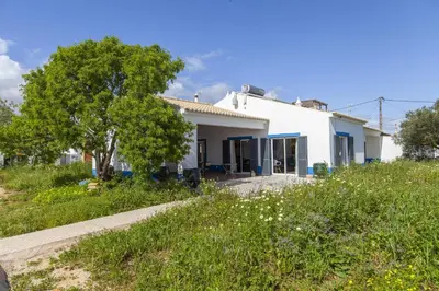 a white house with a tree in the yard at D13 - Eiras Velhas Holiday House in Almádena in Almádena