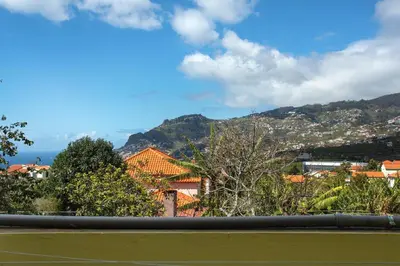 a view of a city with mountains in the background at Levada Residence in Funchal