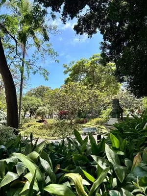 a park with a bench and trees and plants at Apartment Minorca in Funchal