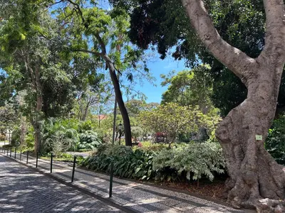 a path in a park with trees and bushes at Apartment Minorca in Funchal