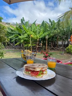 a sandwich on a table with two glasses of orange juice at As Casinhas da Madeira - Cosy Stone Cottage in a subtropical garden in Arco da Calheta