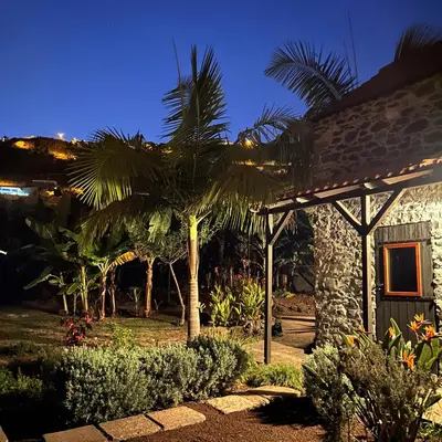 a palm tree in front of a house at night at As Casinhas da Madeira - Cosy Stone Cottage in a subtropical garden in Arco da Calheta