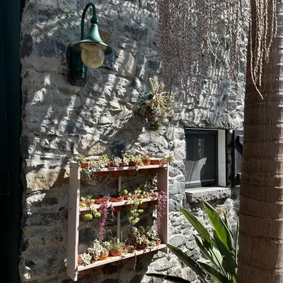 a wall with a shelf with potted plants on it at As Casinhas da Madeira - Cosy Stone Cottage in a subtropical garden in Arco da Calheta