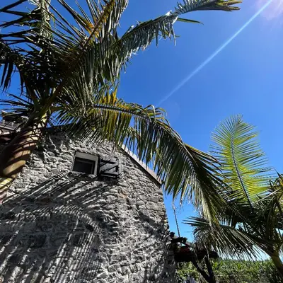 a stone building with a window and a palm tree at As Casinhas da Madeira - Cosy Stone Cottage in a subtropical garden in Arco da Calheta