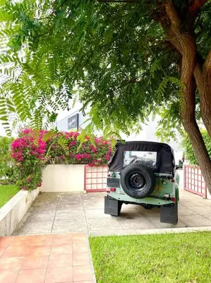 a small vehicle parked next to a tree at Casa da Palmeira Porto Santo in Vila Baleira