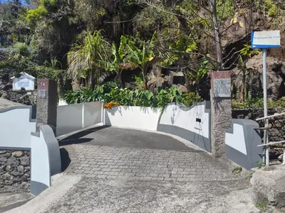 a driveway with a white fence and trees at Quinta do Araújo - GuestHouses in Câmara de Lobos