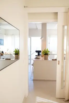 a white kitchen with potted plants on the counter at Porto Santo Precious Oceanview in Campo de Baixo