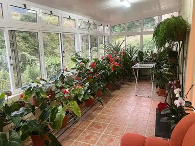 a greenhouse filled with lots of potted plants at Vale dos Passarinhos in São Vicente