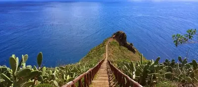 a stairway leading up to a mountain in the ocean at Estúdio Costinha - Madeira in Garajau