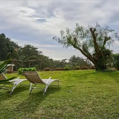 Casas Maravilha by Homie