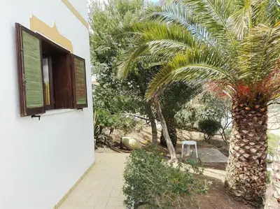a palm tree next to a building with a window at Casa do Guarda - Arrifana beach 5min walk in Praia da Arrifana