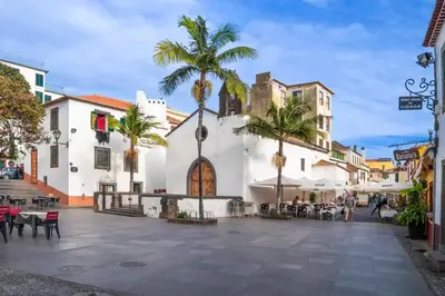 a building with palm trees in the street at Casa Trollis by Holiday Rental Madeira in Funchal