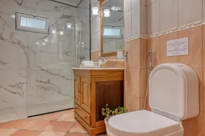 a bathroom with a toilet and a sink and a shower at Clarisse's House II, a Home in Madeira in Ponta do Sol