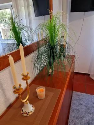 a table with two candles and two plants on it at Ribeirinho Apartment - Machico Beach in Machico