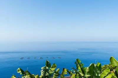 a group of birds on the water with trees at Mouras House, Arco da Calheta in Arco da Calheta