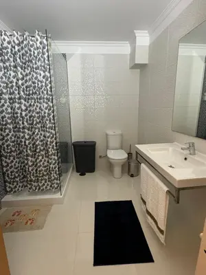 a bathroom with a sink and a toilet and a shower at Old Zone Apartment - 1º C in Funchal